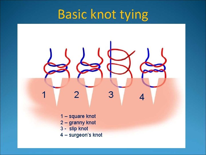 Basic knot tying 1 2 1 – square knot 2 – granny knot 3