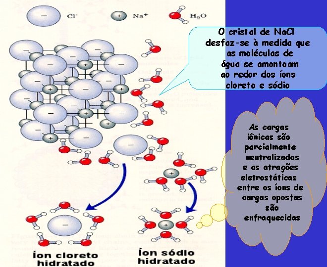 O cristal de Na. Cl desfaz-se à medida que as moléculas de água se