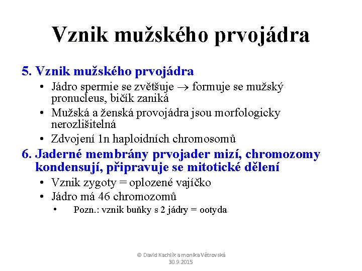 Vznik mužského prvojádra 5. Vznik mužského prvojádra • Jádro spermie se zvětšuje formuje se