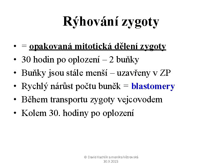 Rýhování zygoty • • • = opakovaná mitotická dělení zygoty 30 hodin po oplození