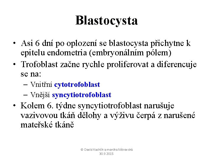 Blastocysta • Asi 6 dní po oplození se blastocysta přichytne k epitelu endometria (embryonálním