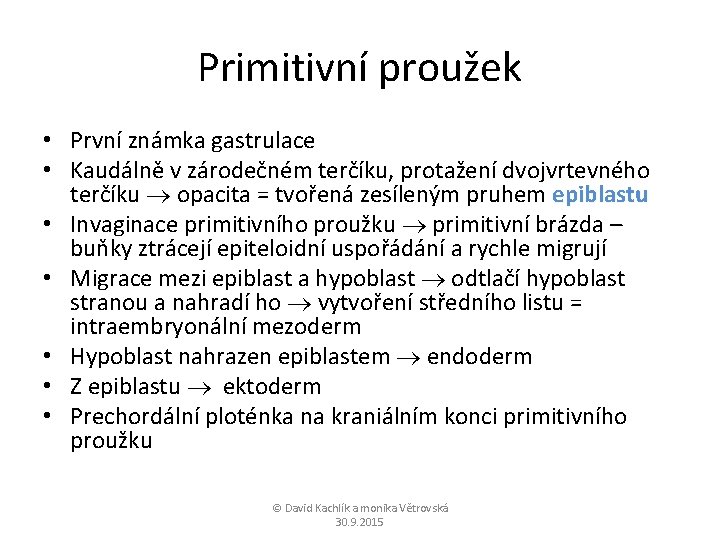 Primitivní proužek • První známka gastrulace • Kaudálně v zárodečném terčíku, protažení dvojvrtevného terčíku