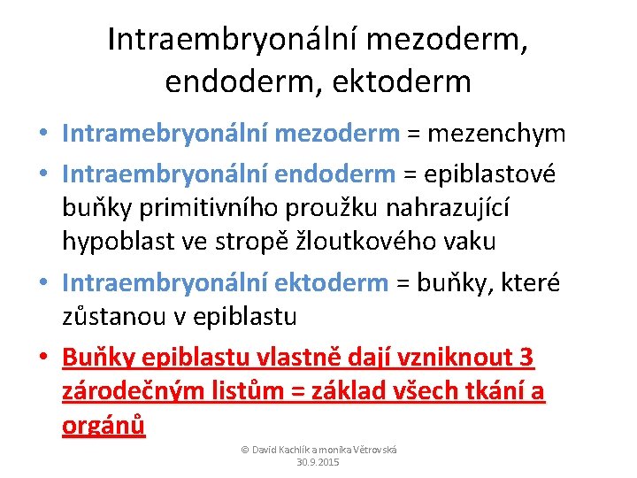 Intraembryonální mezoderm, endoderm, ektoderm • Intramebryonální mezoderm = mezenchym • Intraembryonální endoderm = epiblastové