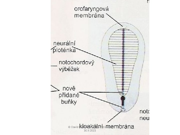 © David Kachlík a monika Větrovská 30. 9. 2015 