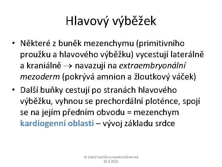 Hlavový výběžek • Některé z buněk mezenchymu (primitivního proužku a hlavového výběžku) vycestují laterálně