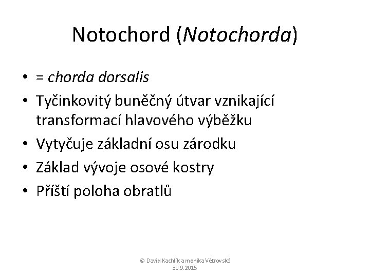 Notochord (Notochorda) • = chorda dorsalis • Tyčinkovitý buněčný útvar vznikající transformací hlavového výběžku