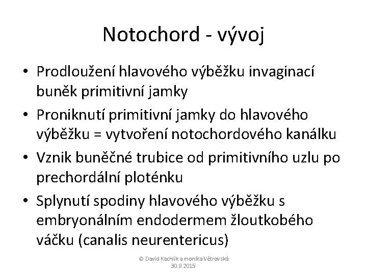 Notochord - vývoj • Prodloužení hlavového výběžku invaginací buněk primitivní jamky • Proniknutí primitivní