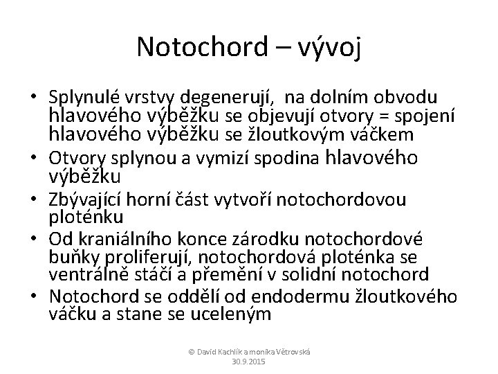 Notochord – vývoj • Splynulé vrstvy degenerují, na dolním obvodu hlavového výběžku se objevují