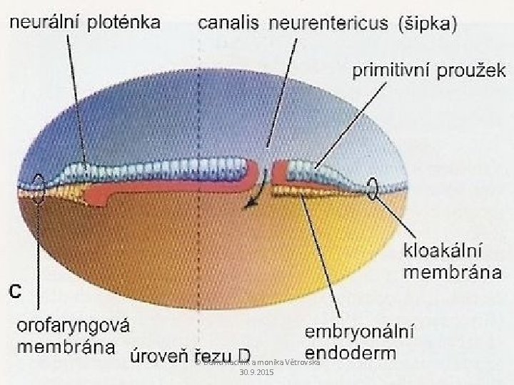 © David Kachlík a monika Větrovská 30. 9. 2015 