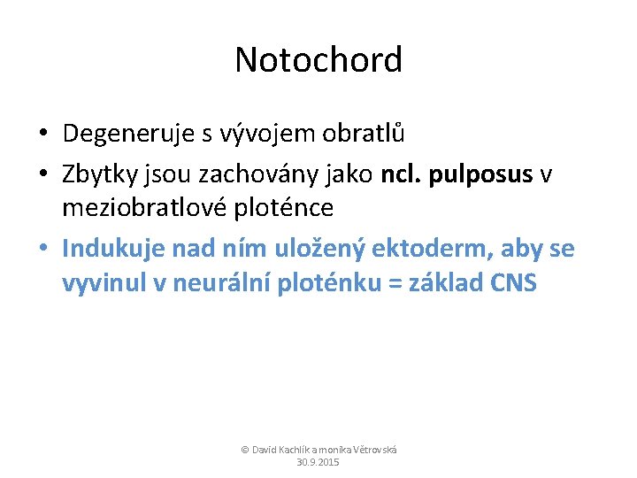 Notochord • Degeneruje s vývojem obratlů • Zbytky jsou zachovány jako ncl. pulposus v