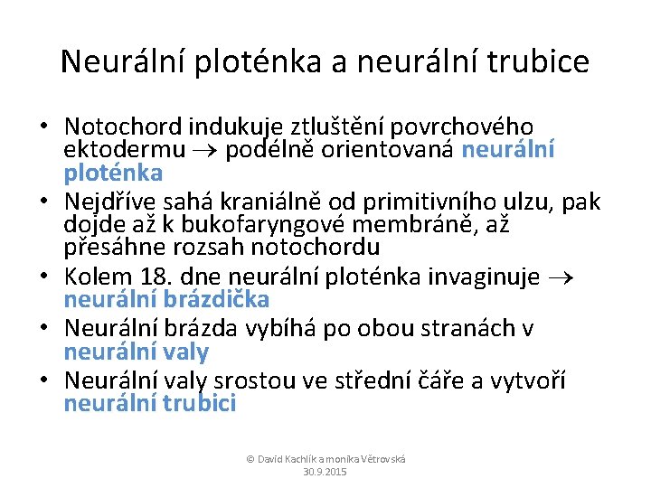 Neurální ploténka a neurální trubice • Notochord indukuje ztluštění povrchového ektodermu podélně orientovaná neurální