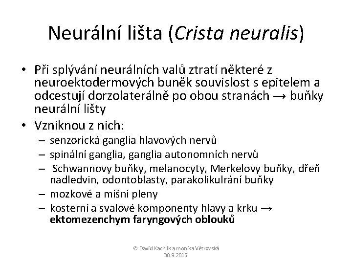 Neurální lišta (Crista neuralis) • Při splývání neurálních valů ztratí některé z neuroektodermových buněk