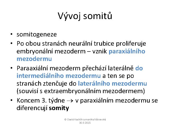 Vývoj somitů • somitogeneze • Po obou stranách neurální trubice proliferuje embryonální mezoderm –