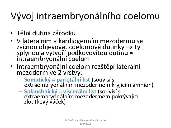 Vývoj intraembryonálního coelomu • Tělní dutina zárodku • V laterálním a kardiogenním mezodermu se