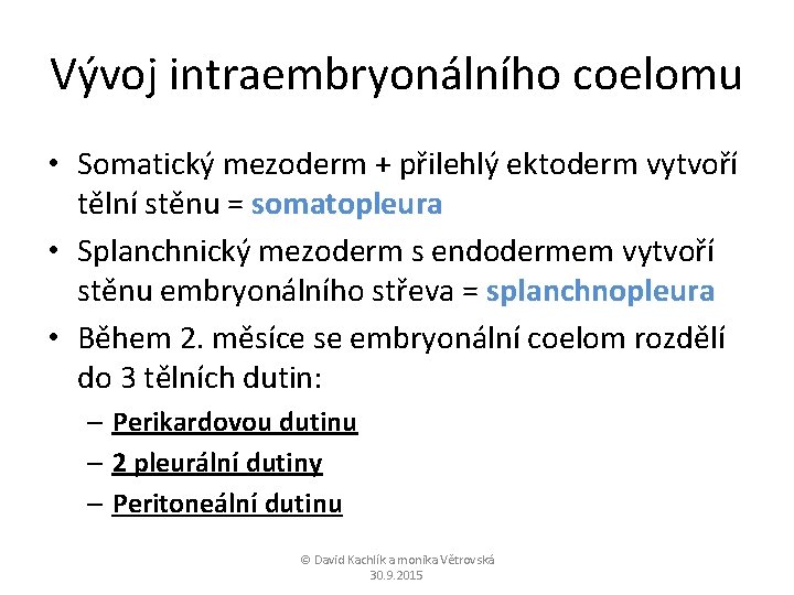 Vývoj intraembryonálního coelomu • Somatický mezoderm + přilehlý ektoderm vytvoří tělní stěnu = somatopleura