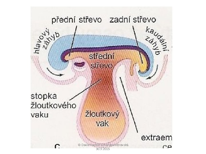 © David Kachlík a monika Větrovská 30. 9. 2015 