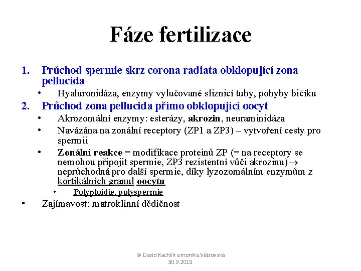 Fáze fertilizace 1. Průchod spermie skrz corona radiata obklopující zona pellucida • 2. Hyaluronidáza,