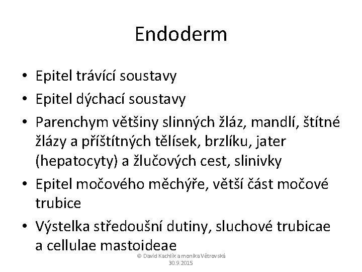 Endoderm • Epitel trávící soustavy • Epitel dýchací soustavy • Parenchym většiny slinných žláz,