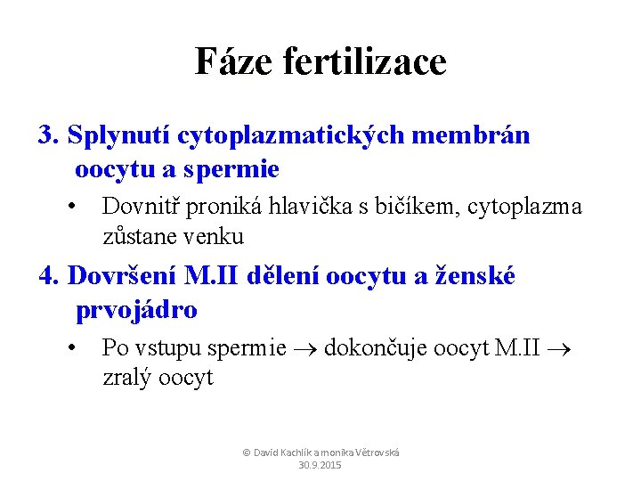 Fáze fertilizace 3. Splynutí cytoplazmatických membrán oocytu a spermie • Dovnitř proniká hlavička s
