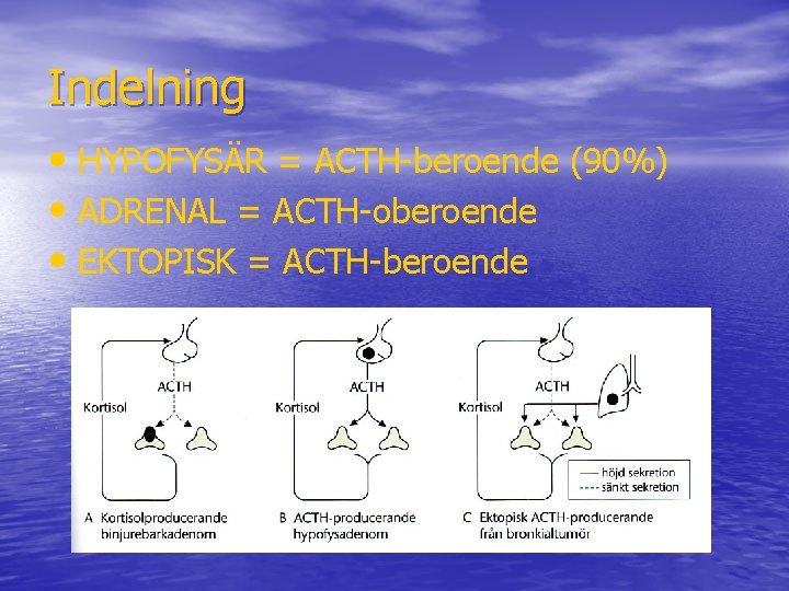 Indelning • HYPOFYSÄR = ACTH-beroende (90%) • ADRENAL = ACTH-oberoende • EKTOPISK = ACTH-beroende