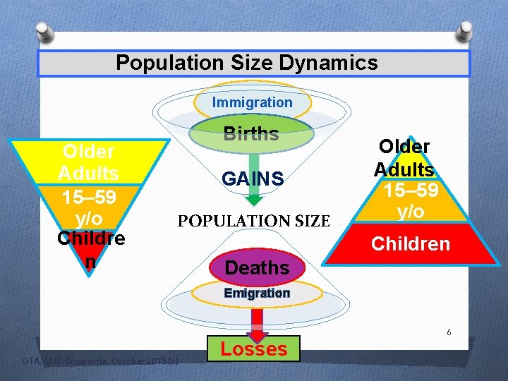 Population Size Dynamics Immigration Older Adults 15– 59 y/o Childre n Births GAINS POPULATION