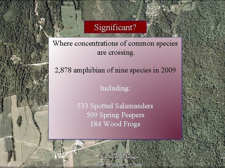 Significant? Where concentrations of common species are crossing. 2, 878 amphibian of nine species