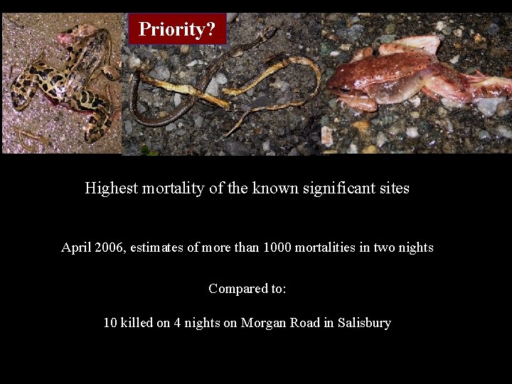 Priority? Mortality and injuries Highest mortality of the known significant sites April 2006, estimates