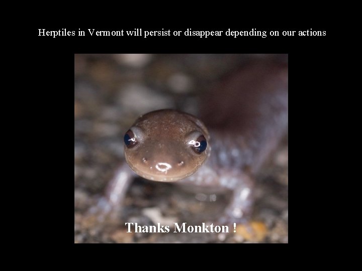 Herptiles in Vermont will persist or disappear depending on our actions Thanks Monkton !