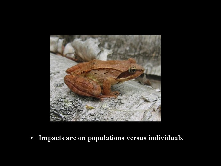  • Impacts are on populations versus individuals 