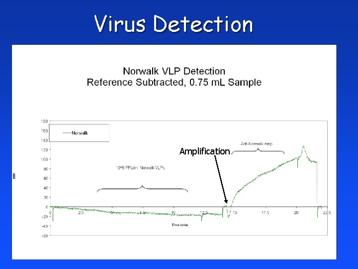 Virus Detection Amplification 