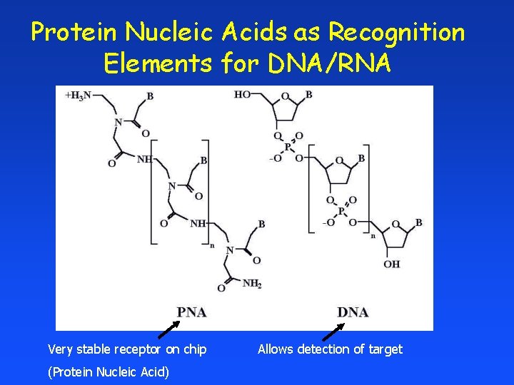Protein Nucleic Acids as Recognition Elements for DNA/RNA Very stable receptor on chip (Protein