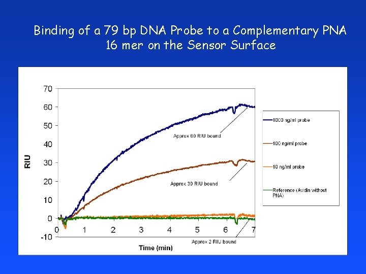 Binding of a 79 bp DNA Probe to a Complementary PNA 16 mer on