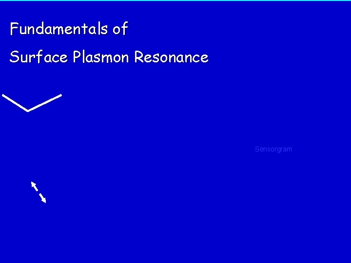 Fundamentals of Surface Plasmon Resonance System software Sensorgram 