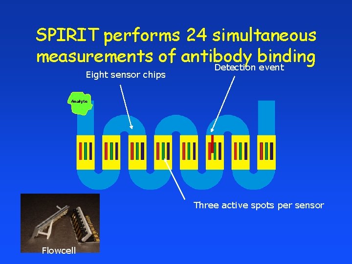 SPIRIT performs 24 simultaneous measurements of antibody binding Detection event Eight sensor chips Analyte