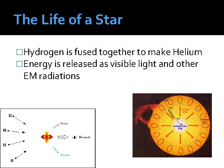 The Life of a Star �Hydrogen is fused together to make Helium �Energy is