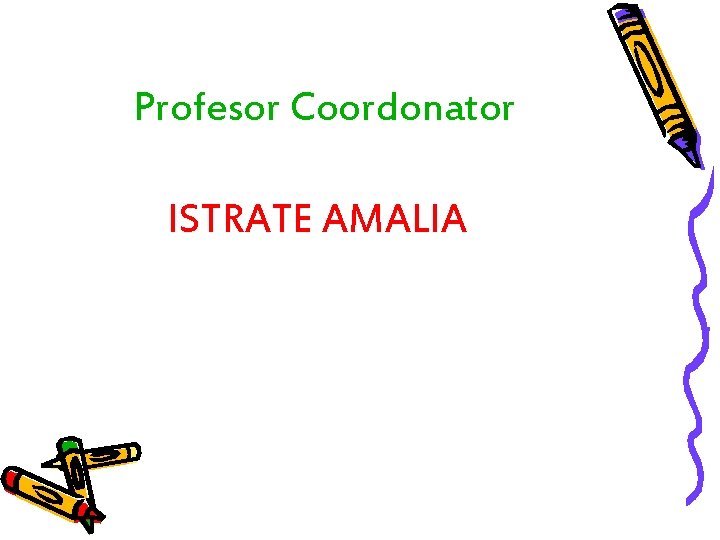 Profesor Coordonator ISTRATE AMALIA 