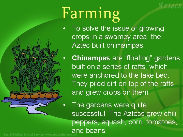 Farming • To solve the issue of growing crops in a swampy area, the