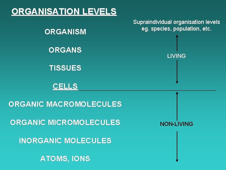 ORGANISATION LEVELS ORGANISM ORGANS Supraindividual organisation levels eg. species, population, etc. LIVING TISSUES CELLS