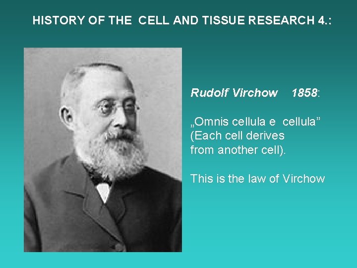 HISTORY OF THE CELL AND TISSUE RESEARCH 4. : Rudolf Virchow 1858: „Omnis cellula