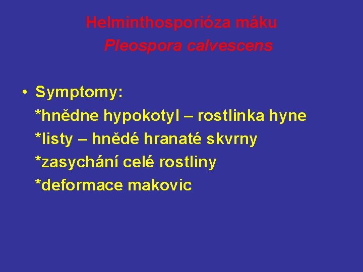 Helminthosporióza máku Pleospora calvescens • Symptomy: *hnědne hypokotyl – rostlinka hyne *listy – hnědé