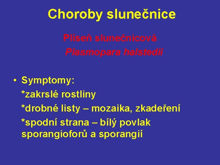 Choroby slunečnice Plíseň slunečnicová Plasmopara halstedii • Symptomy: *zakrslé rostliny *drobné listy – mozaika,