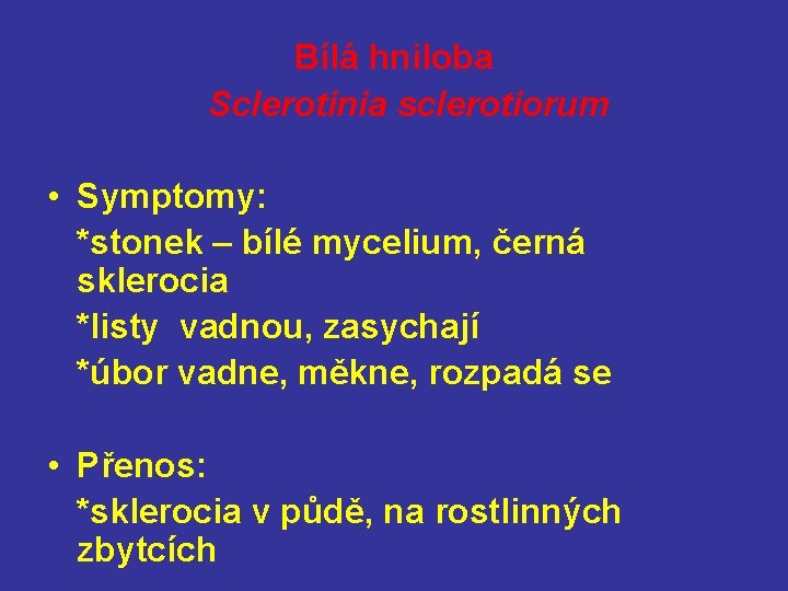Bílá hniloba Sclerotinia sclerotiorum • Symptomy: *stonek – bílé mycelium, černá sklerocia *listy vadnou,