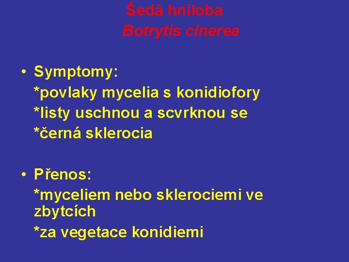Šedá hniloba Botrytis cinerea • Symptomy: *povlaky mycelia s konidiofory *listy uschnou a scvrknou