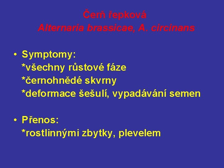 Čerň řepková Alternaria brassicae, A. circinans • Symptomy: *všechny růstové fáze *černohnědé skvrny *deformace