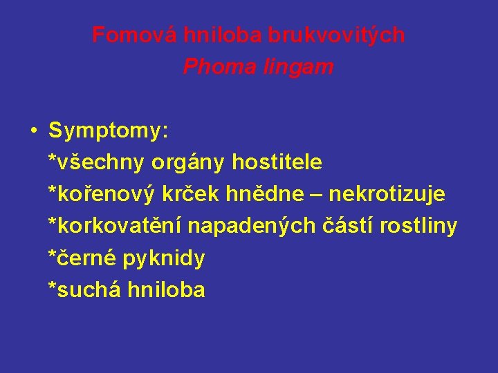 Fomová hniloba brukvovitých Phoma lingam • Symptomy: *všechny orgány hostitele *kořenový krček hnědne –