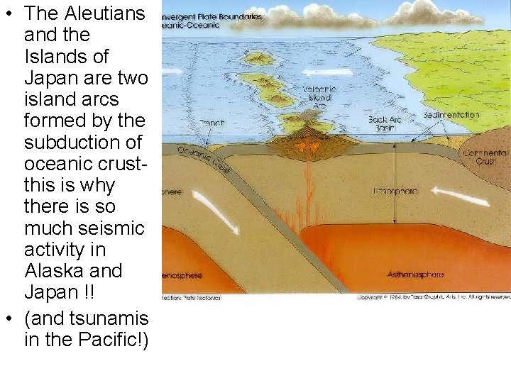  • The Aleutians and the Islands of Japan are two island arcs formed