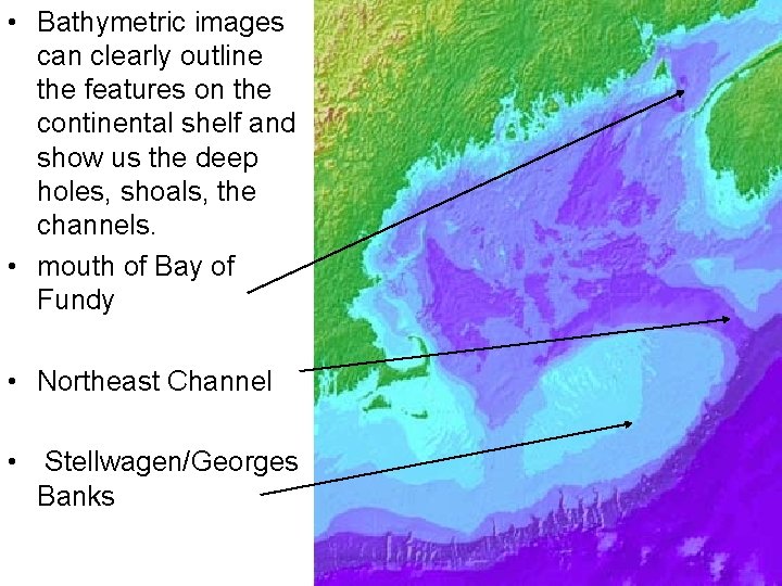  • Bathymetric images can clearly outline the features on the continental shelf and