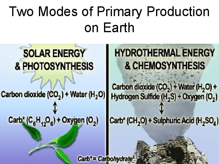 Two Modes of Primary Production on Earth 