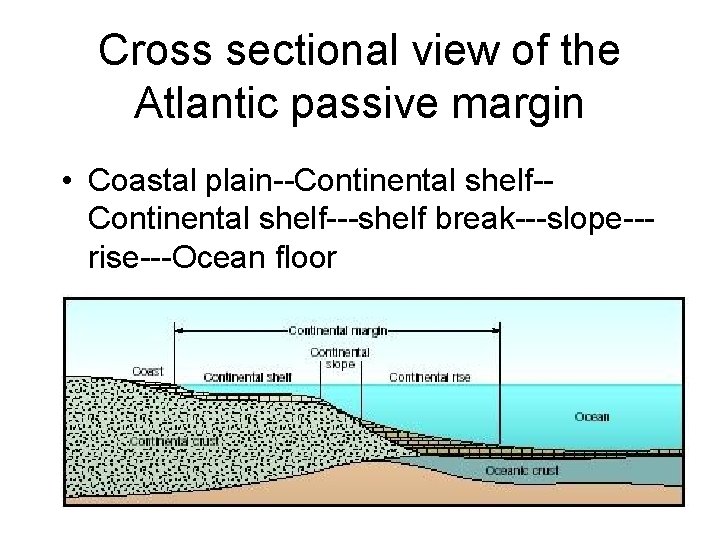 Cross sectional view of the Atlantic passive margin • Coastal plain--Continental shelf---shelf break---slope--rise---Ocean floor