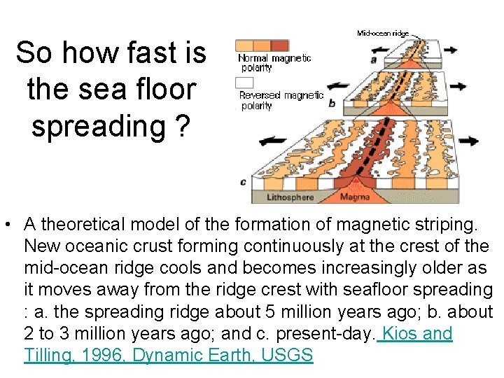 So how fast is the sea floor spreading ? • A theoretical model of